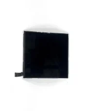 iPad Mini-LCD
