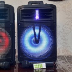 Speaker ZQS-2205
